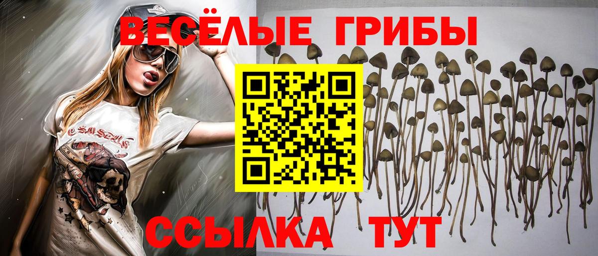 Алексин  Галлюциногенные грибы мухоморы  Вход с VPN 