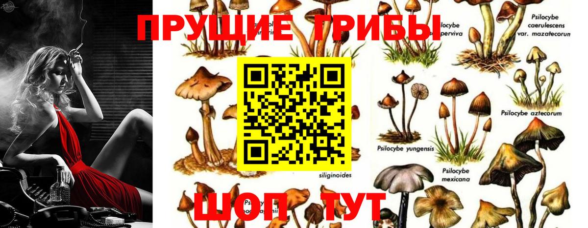 МЕФ кристаллы  ГАШ  Экстази  Вход с VPN  Марихуана  Вейп ТГК  Алексин  Cocaine 